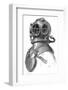 Diving Helmet with Weights Attached-null-Framed Photographic Print