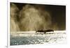 Diving Humpback Whale, Alaska-Paul Souders-Framed Photographic Print