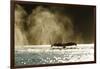 Diving Humpback Whale, Alaska-Paul Souders-Framed Photographic Print