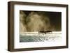 Diving Humpback Whale, Alaska-Paul Souders-Framed Photographic Print