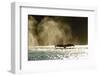 Diving Humpback Whale, Alaska-Paul Souders-Framed Photographic Print