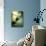 Diving into Green Water-null-Mounted Photographic Print displayed on a wall