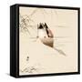 Diving Mallard-Koson Ohara-Framed Stretched Canvas