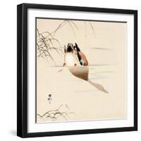 Diving Mallard-Koson Ohara-Framed Giclee Print