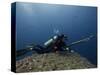 Diving With Spear Gun, Wolf Island, Galapagos Islands, Ecuador-Pete Oxford-Stretched Canvas