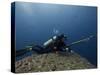 Diving With Spear Gun, Wolf Island, Galapagos Islands, Ecuador-Pete Oxford-Stretched Canvas