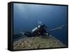 Diving With Spear Gun, Wolf Island, Galapagos Islands, Ecuador-Pete Oxford-Framed Stretched Canvas