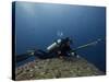 Diving With Spear Gun, Wolf Island, Galapagos Islands, Ecuador-Pete Oxford-Stretched Canvas