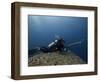 Diving With Spear Gun, Wolf Island, Galapagos Islands, Ecuador-Pete Oxford-Framed Photographic Print