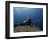 Diving With Spear Gun, Wolf Island, Galapagos Islands, Ecuador-Pete Oxford-Framed Photographic Print