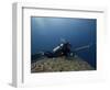 Diving With Spear Gun, Wolf Island, Galapagos Islands, Ecuador-Pete Oxford-Framed Photographic Print