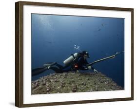 Diving With Spear Gun, Wolf Island, Galapagos Islands, Ecuador-Pete Oxford-Framed Photographic Print