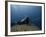 Diving With Spear Gun, Wolf Island, Galapagos Islands, Ecuador-Pete Oxford-Framed Photographic Print