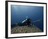 Diving With Spear Gun, Wolf Island, Galapagos Islands, Ecuador-Pete Oxford-Framed Photographic Print