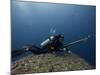 Diving With Spear Gun, Wolf Island, Galapagos Islands, Ecuador-Pete Oxford-Mounted Photographic Print