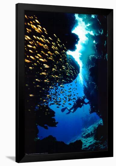 Diving-null-Framed Poster