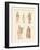 Divinities of the Greeks and Romans-null-Framed Giclee Print