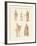 Divinities of the Greeks and Romans-null-Framed Giclee Print