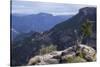 Divisadero, Copper Canyon, larger and deeper than the Grand Canyon, Mexico, North America-Peter Groenendijk-Stretched Canvas