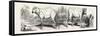 Division Sheep (Left) Division Calf (Right). 1855-null-Framed Stretched Canvas