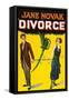 Divorce-null-Framed Stretched Canvas