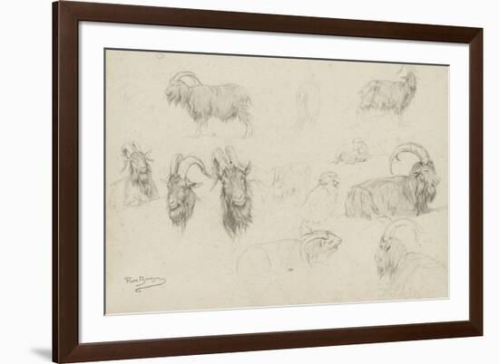 Dix études de chèvres, un mouton, un perroquet-Rosa Bonheur-Framed Giclee Print