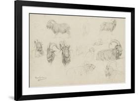 Dix études de chèvres, un mouton, un perroquet-Rosa Bonheur-Framed Giclee Print