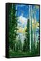 Dixie Aspens-Vincent James-Framed Stretched Canvas