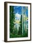 Dixie Aspens-Vincent James-Framed Photographic Print