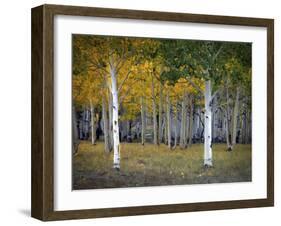 Dixie Forest, UT-J.D. Mcfarlan-Framed Photographic Print