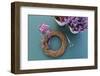 DIY, autumnal decoration, willow wreath, heather-mauritius images-Framed Photographic Print