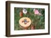 DIY, bird feeder, pumpkin,-mauritius images-Framed Photographic Print