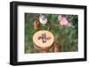 DIY, bird feeder, pumpkin,-mauritius images-Framed Photographic Print