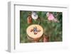 DIY, bird feeder, pumpkin,-mauritius images-Framed Photographic Print