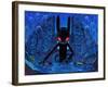 DJ BlackRabbit-Aaron Jasinski-Framed Art Print