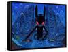 DJ BlackRabbit-Aaron Jasinski-Framed Stretched Canvas