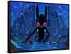 DJ BlackRabbit-Aaron Jasinski-Framed Stretched Canvas