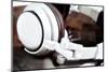 Dj Headphones Lying over Old Vinyl-fotosutra.com-Mounted Photographic Print