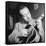 Django Reinhardt at the Aquarium in New York City, 1946-William Paul Gottlieb-Framed Stretched Canvas