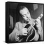 Django Reinhardt at the Aquarium in New York City, 1946-William Paul Gottlieb-Framed Stretched Canvas