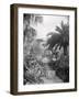 Djenan-El-Mufti, Algiers-Frederick Henry Evans-Framed Photographic Print