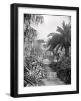 Djenan-El-Mufti, Algiers-Frederick Henry Evans-Framed Photographic Print