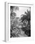 Djenan-El-Mufti, Algiers-Frederick Henry Evans-Framed Photographic Print