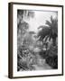 Djenan-El-Mufti, Algiers-Frederick Henry Evans-Framed Photographic Print