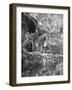 Djenan-El-Mufti, Algiers-Frederick Henry Evans-Framed Photographic Print