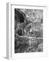 Djenan-El-Mufti, Algiers-Frederick Henry Evans-Framed Photographic Print