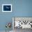 Djibouti, Bay of Tadjourah, A Whale Shark Swims Near the Surface in the Bay of Tadjourah-Fergus Kennedy-Framed Photographic Print displayed on a wall