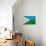 Djibouti Flag Design with Wood Patterning - Flags of the World Series-Philippe Hugonnard-Art Print displayed on a wall