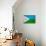 Djibouti Flag Design with Wood Patterning - Flags of the World Series-Philippe Hugonnard-Stretched Canvas displayed on a wall