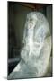 Djoser, Second King of the 3rd Dynasty, Ancient Egyptian, C2613 BC-null-Mounted Giclee Print